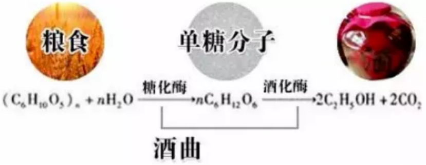 1642127073103463.png 圖片.png